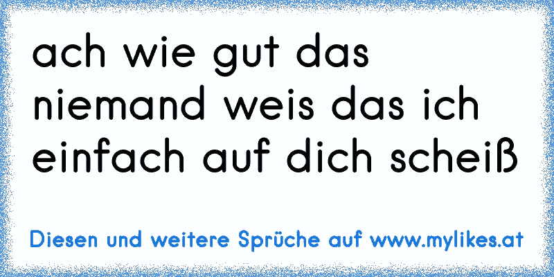 ach wie gut das niemand weis das ich einfach auf dich scheiß
