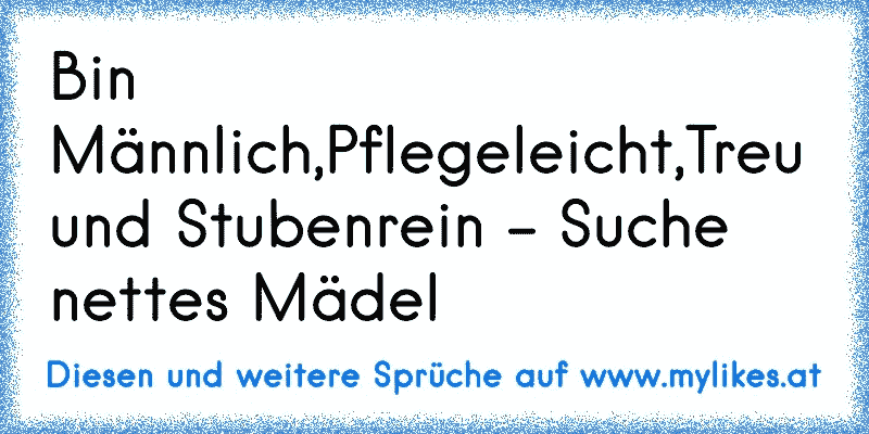 Bin Männlich,Pflegeleicht,Treu und Stubenrein - Suche nettes Mädel
