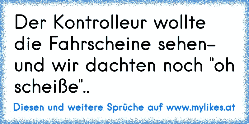 Der Kontrolleur wollte die Fahrscheine sehen- und wir dachten noch "oh scheiße"..
