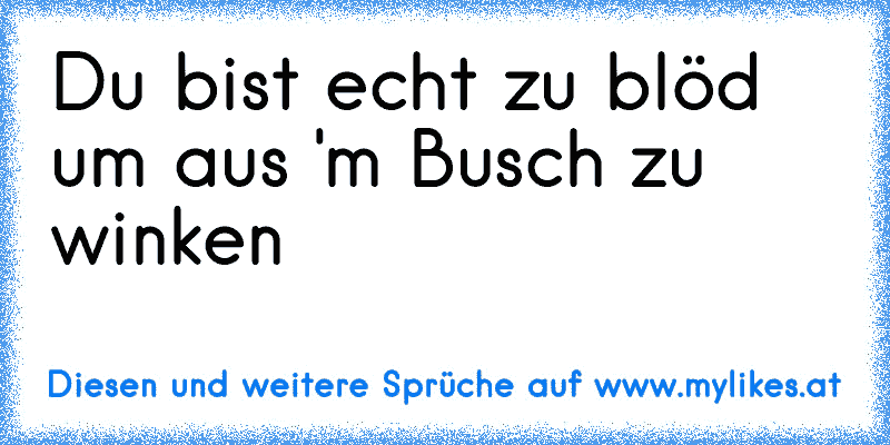 Du bist echt zu blöd um aus 'm Busch zu winken
