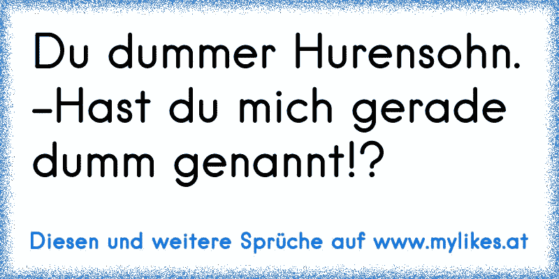 Du dummer Hurensohn. -Hast du mich gerade dumm genannt!?
