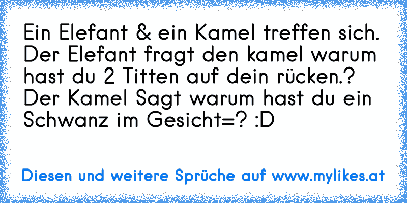 Ein Elefant & ein Kamel treffen sich.
 Der Elefant fragt den kamel warum hast du 2 Titten auf dein rücken.?
 Der Kamel Sagt warum hast du ein Schwanz im Gesicht=? :D
