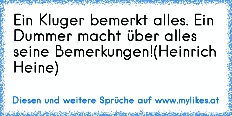 Ein Kluger bemerkt alles. Ein Dummer macht über alles seine Bemerkungen!
(Heinrich Heine)
