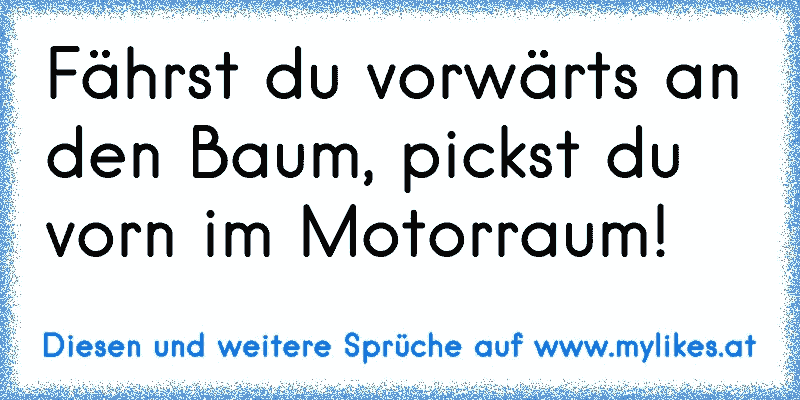 Fährst du vorwärts an den Baum, pickst du vorn im Motorraum!
