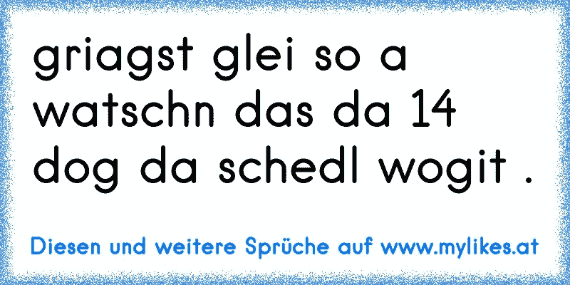 griagst glei so a watschn das da 14 dog da schedl wogit .
