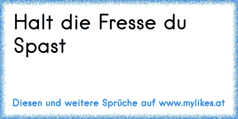 Halt die Fresse du Spast
