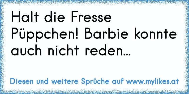 Halt die Fresse Püppchen! Barbie konnte auch nicht reden...
