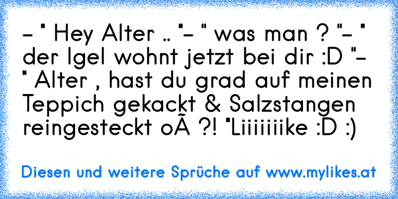 - '' Hey Alter .. ''
- '' was man ? ''
- '' der Igel wohnt jetzt bei dir :D ''
- '' Alter , hast du grad auf meinen Teppich gekackt & Salzstangen reingesteckt oô ?! ''
Liiiiiiike :D :)
