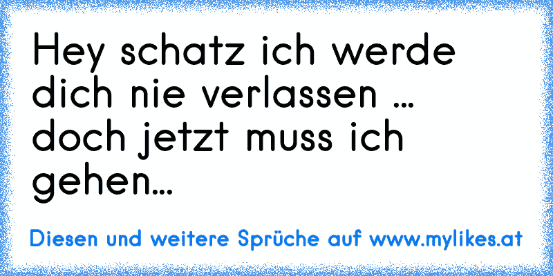 Hey schatz ich werde dich nie verlassen ... doch jetzt muss ich gehen...
