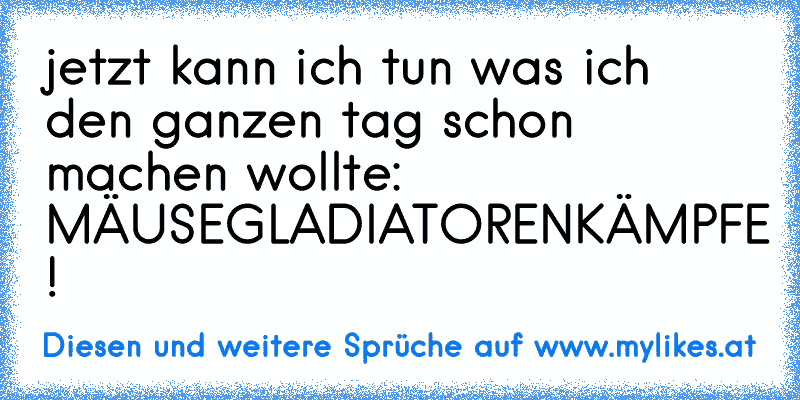 jetzt kann ich tun was ich den ganzen tag schon machen wollte: MÄUSEGLADIATORENKÄMPFE !
