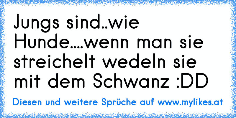 Jungs sind..
wie Hunde..
..wenn man sie streichelt wedeln sie mit dem Schwanz :DD
