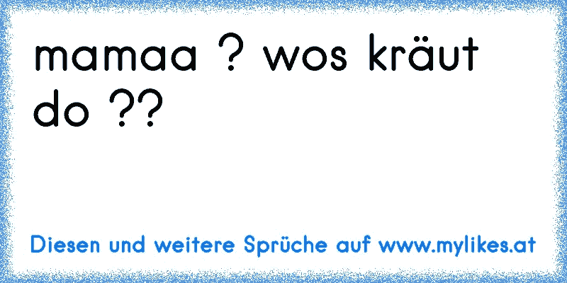 mamaa ? wos kräut do ??
