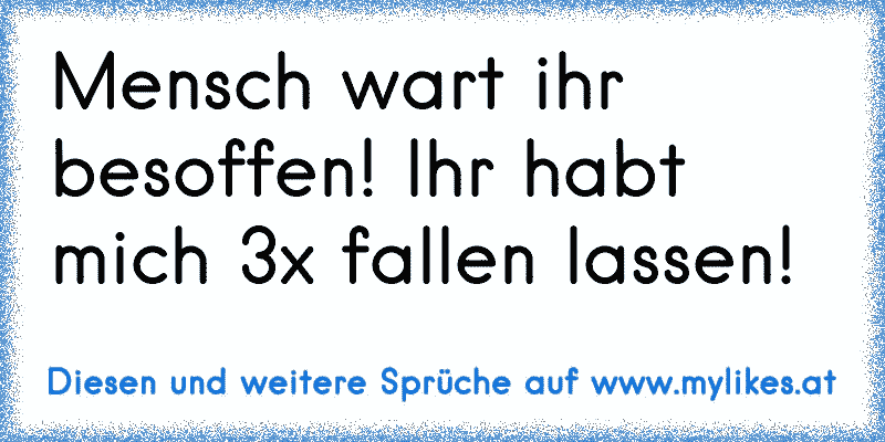 Mensch wart ihr besoffen! Ihr habt mich 3x fallen lassen!
