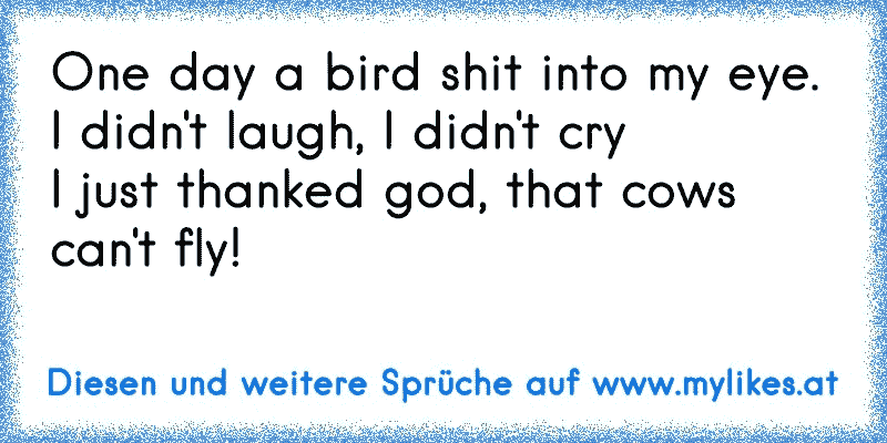 One day a bird shit into my eye.
I didn't laugh, I didn't cry
I just thanked god, that cows can't fly!
