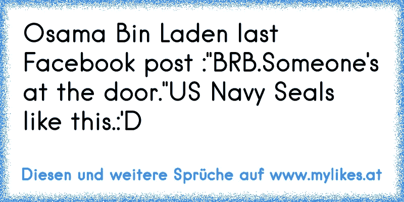 Osama Bin Laden last Facebook post :"BRB.Someone's at the door."
US Navy Seals like this.
:'D
