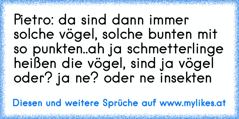 Pietro: da sind dann immer solche vögel, solche bunten mit so punkten..
ah ja schmetterlinge heißen die vögel, sind ja vögel oder? ja ne? oder ne insekten
