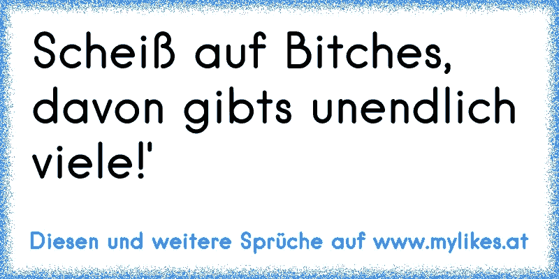 Scheiß auf Bitches, davon gibts unendlich viele!'
