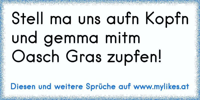 Stell ma uns aufn Kopfn und gemma mitm Oasch Gras zupfen!
