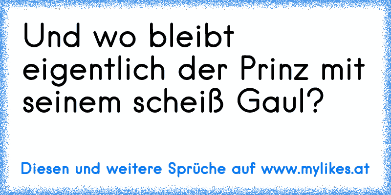 Und wo bleibt eigentlich der Prinz mit seinem scheiß Gaul?
