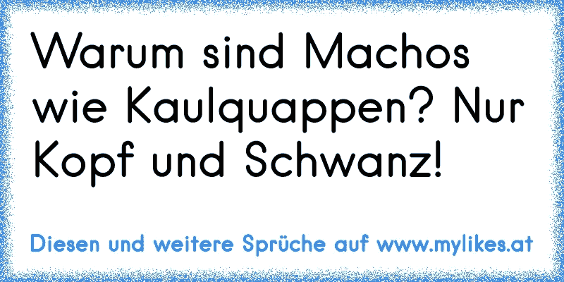 Warum sind Machos wie Kaulquappen? Nur Kopf und Schwanz!
