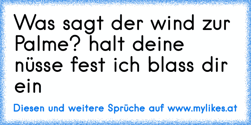 Was sagt der wind zur Palme? halt deine nüsse fest ich blass dir ein
