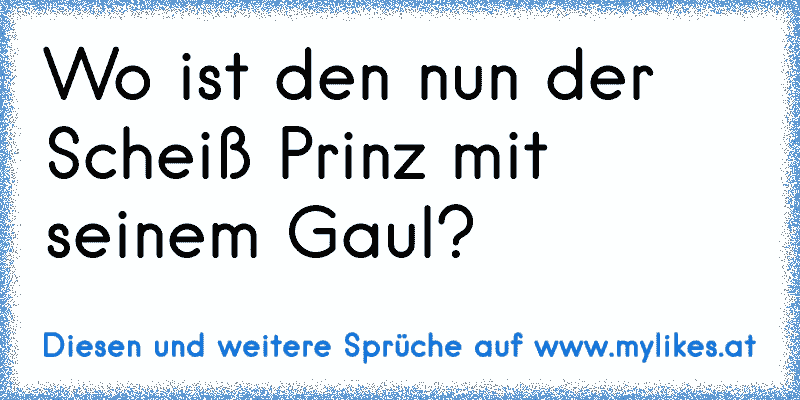 Wo ist den nun der Scheiß Prinz mit seinem Gaul?
