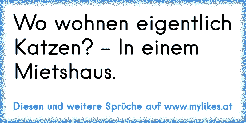 Wo wohnen eigentlich Katzen? - In einem Mietshaus.
